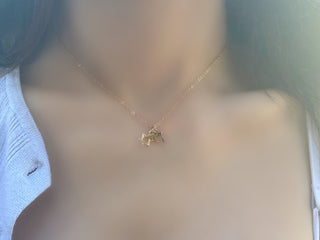 Chai + Star of David Necklace