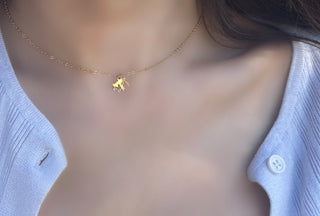 Chai + Star of David Necklace