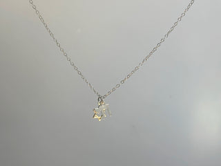 Silberner Chai + Davidstern-Halskette